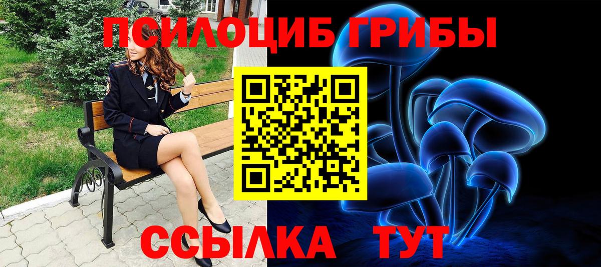 Кашира  Псилоцибиновые грибы MAGIC MUSHROOMS  Галлюциногенные грибы Magic Shrooms  Вход с VPN 