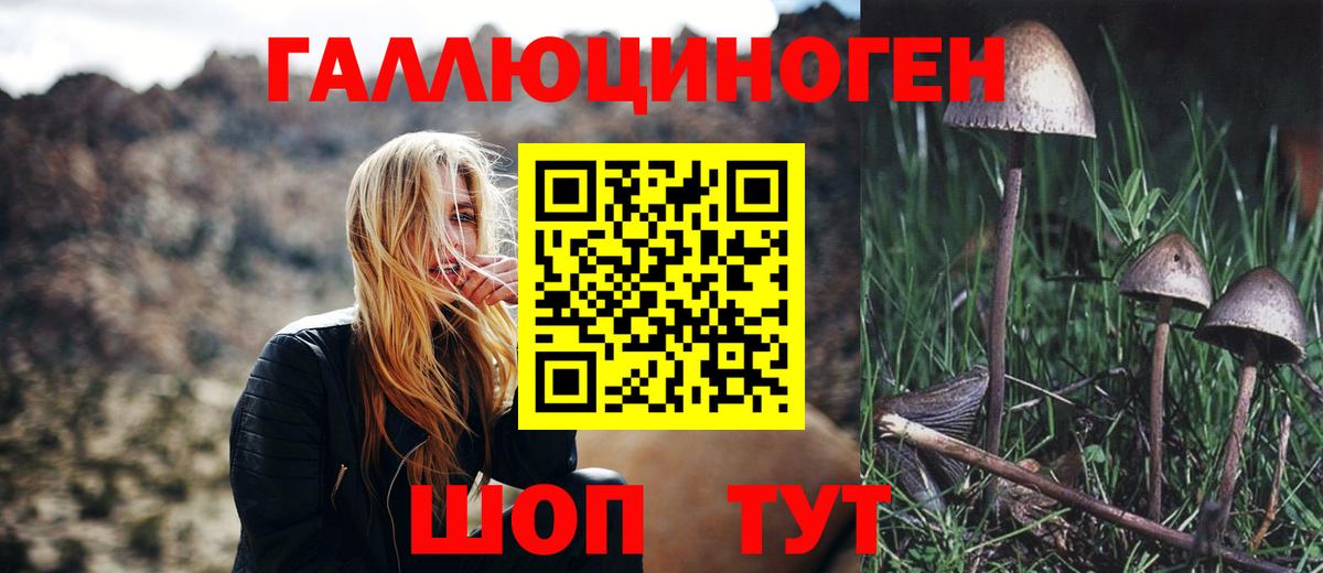 Псилоцибиновые грибы мицелий Кашира